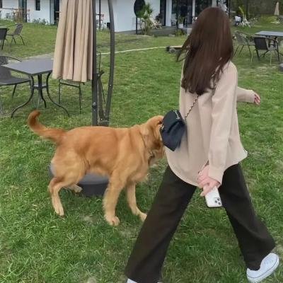 阿宝的故事